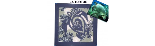 Tortue